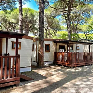  Apartment Buona Mobile Homes On Mare E Pineta